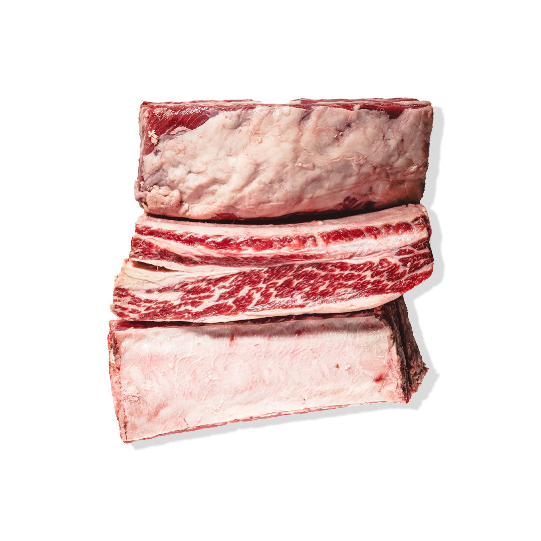 Raw beef ribs on a white background