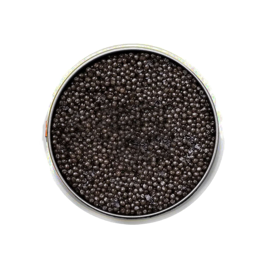 Caviar in a metal container on a white background