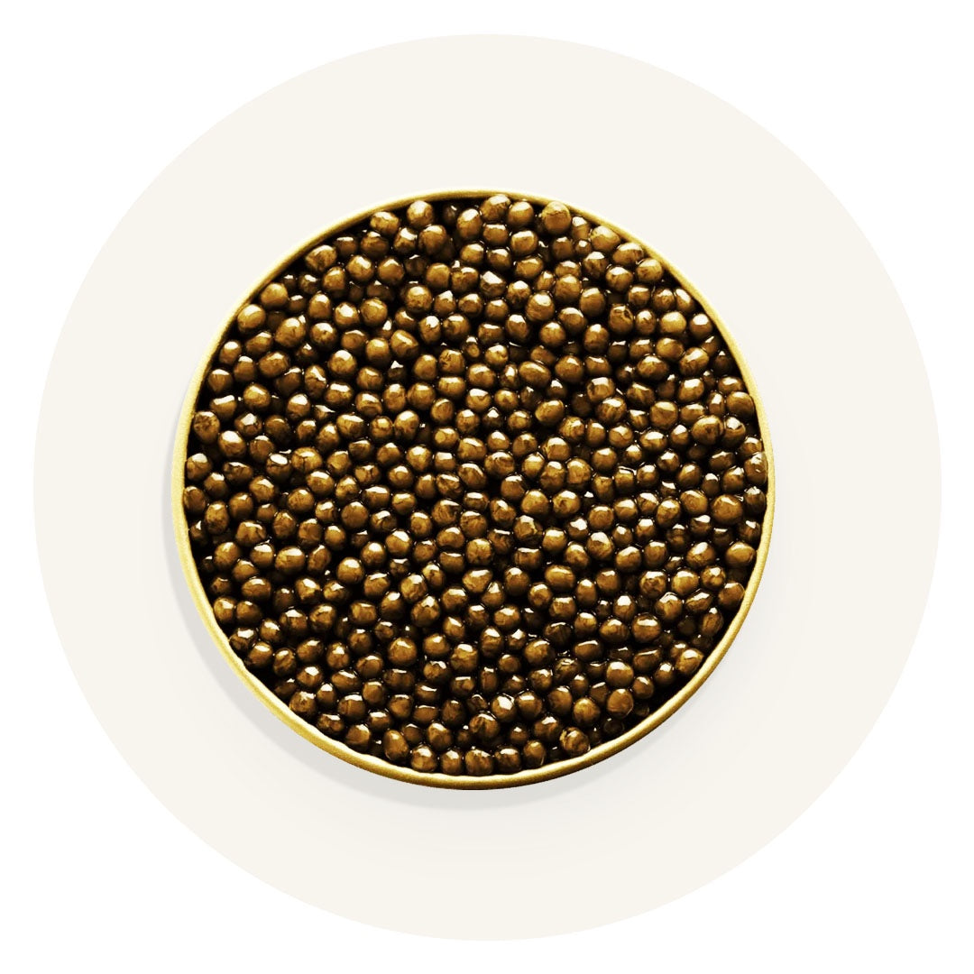 Caviar in a white dish