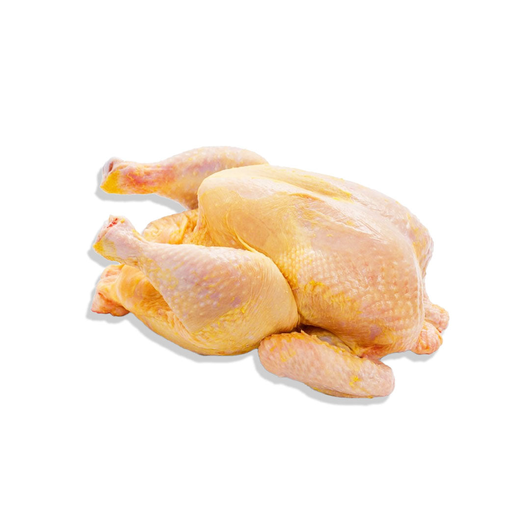 Raw chicken on a white background
