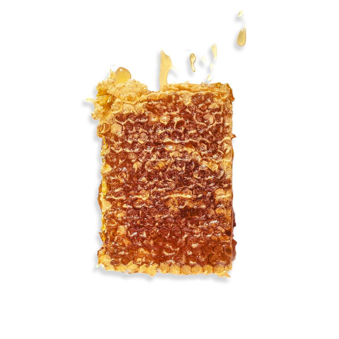 Organic honeycomb with pure golden honey and natural wax texture