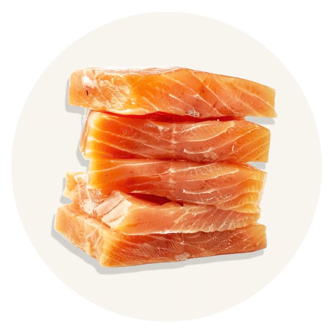 Raw salmon fillets on a white plate