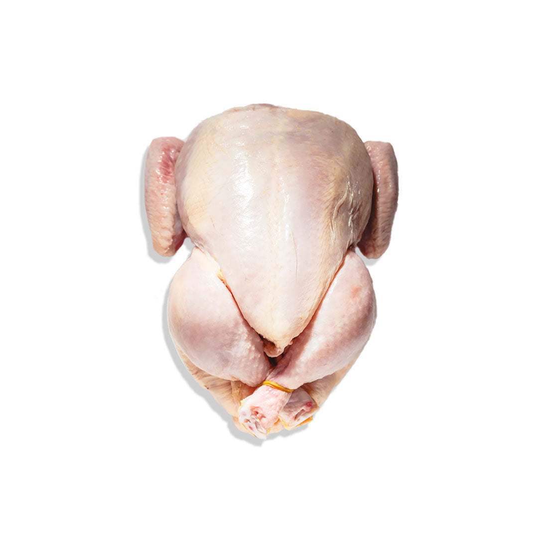Fresh whole chicken ready for roasting and grilling, hormone-free with tender texture