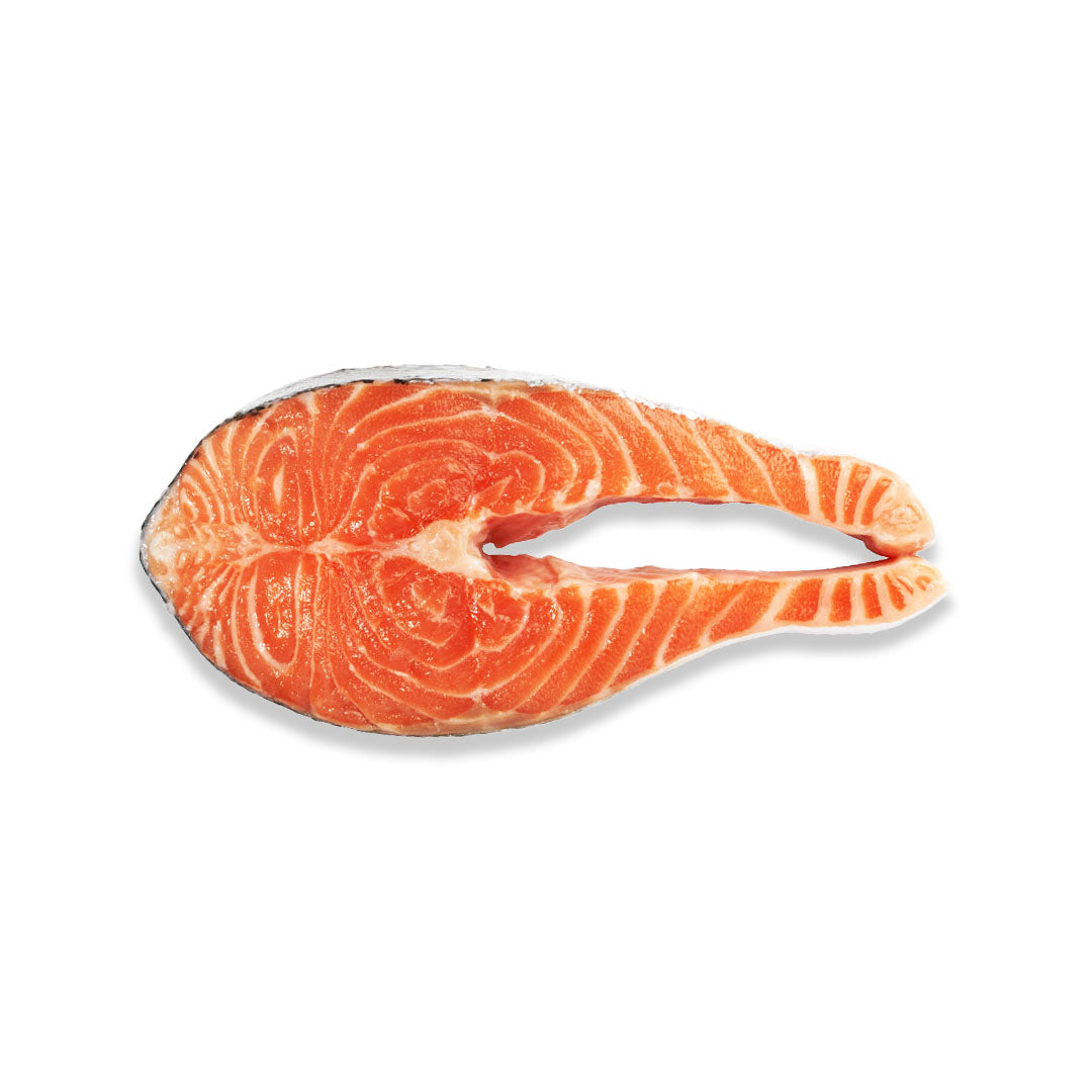 A single salmon fillet cut into two pieces, showing the orange-pink flesh with white marbling, isolated on a white background.