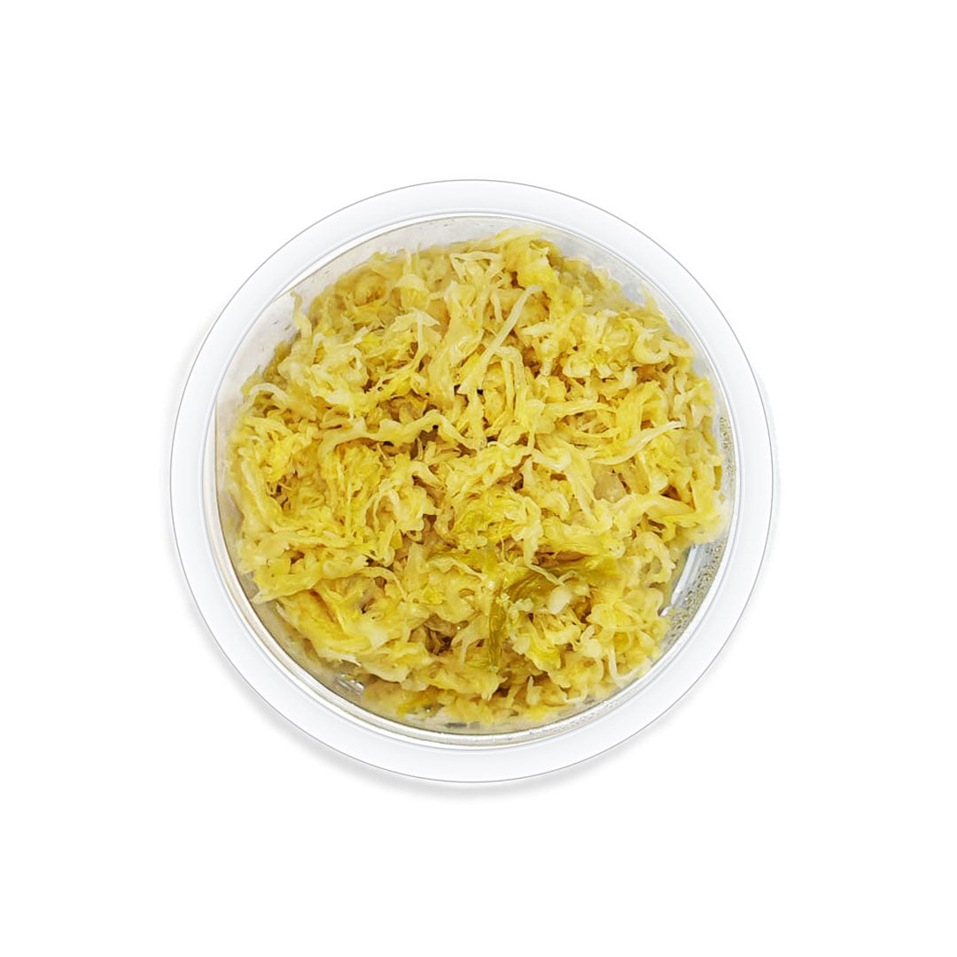 Container of fermented sauerkraut on a white background