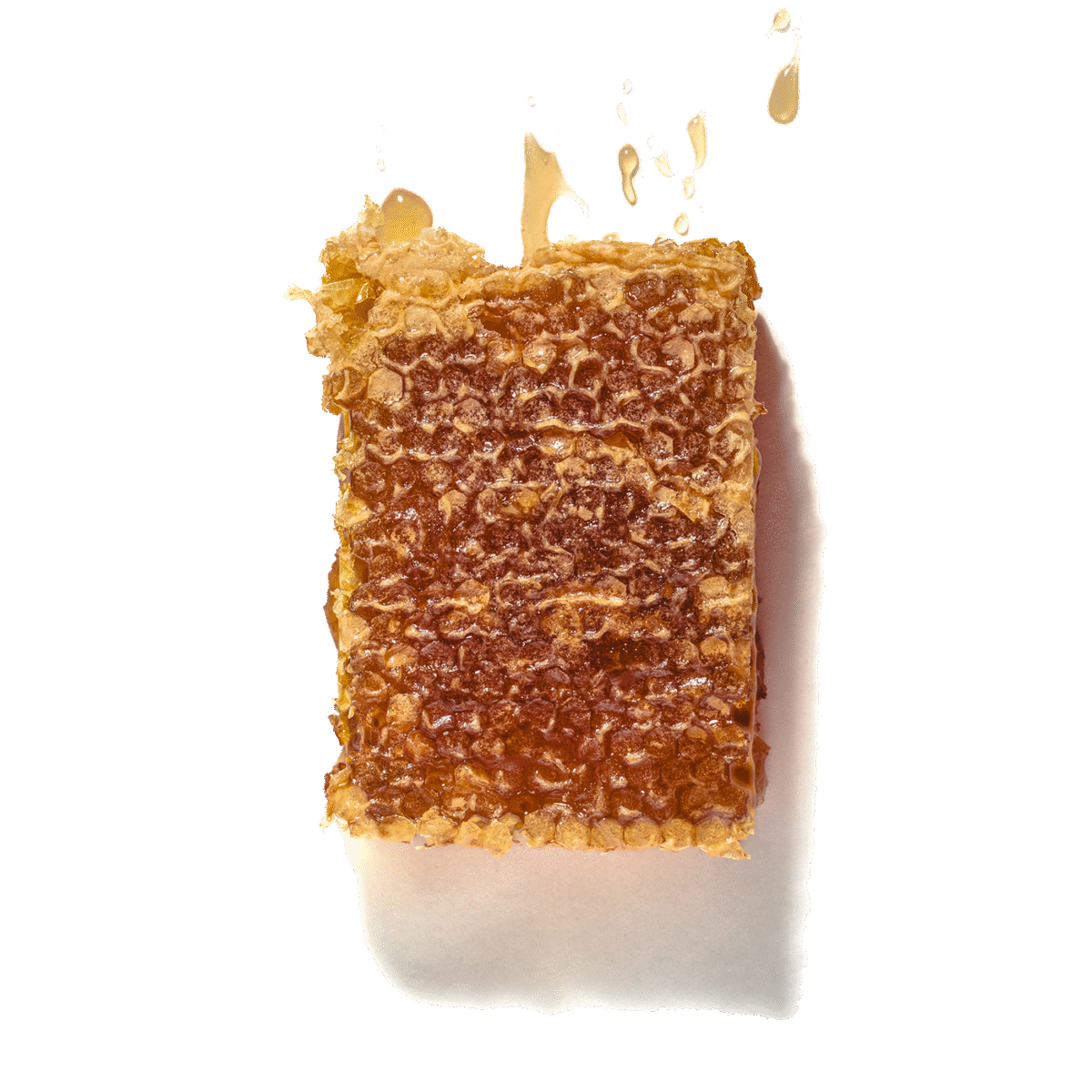 Honeycomb - Princess Bee - Image 1