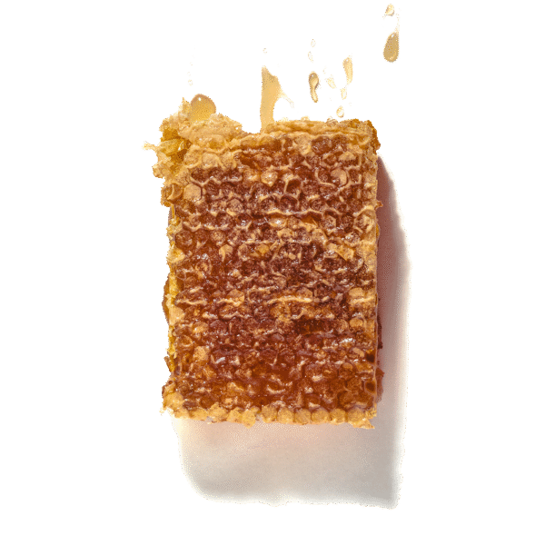 Honeycomb - Princess Bee