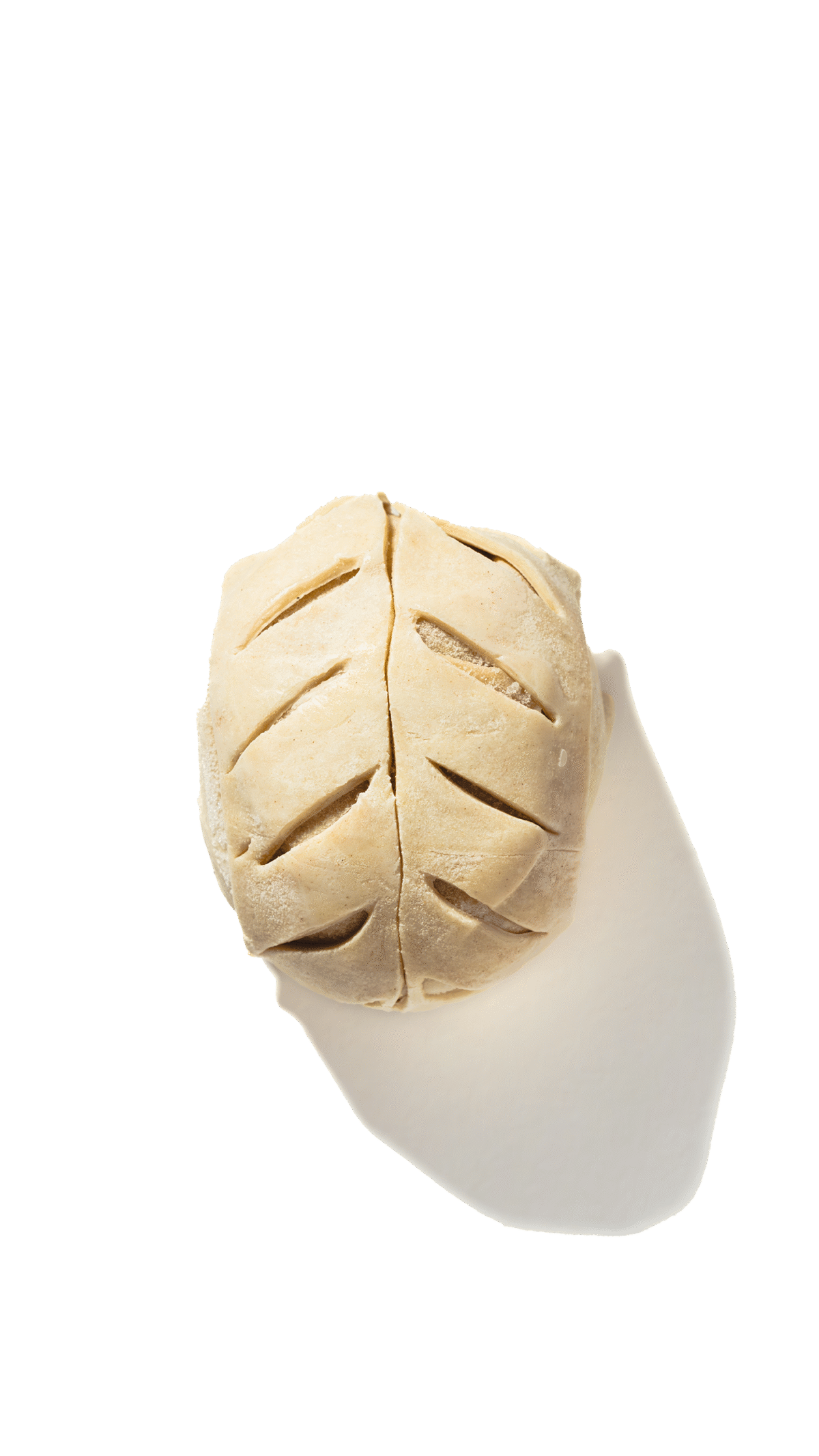 Beef Wellington - Image 2