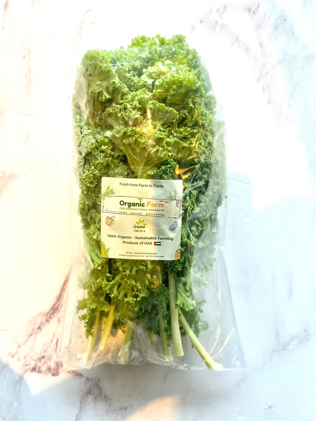 kale Organic Farm Kale 200-250g