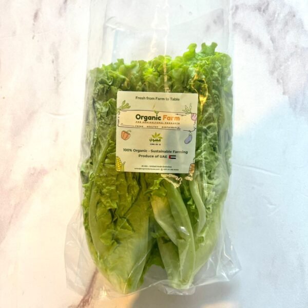 Organic Farm Lettuce Lolo 200-250g
