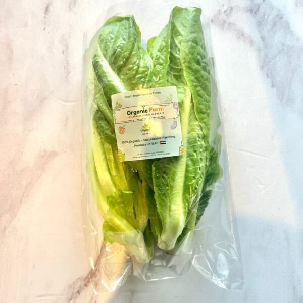 Organic Farm Lettuce Romaine 200-250g