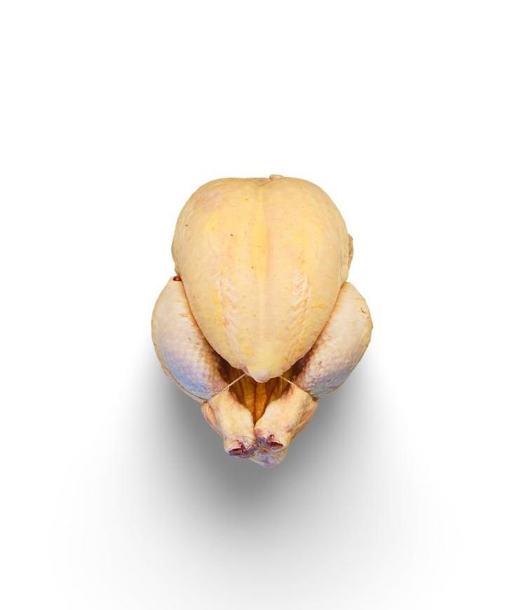 WhatsApp Image 2026-01-21 at 3.50.18 PM CORN-FEED CHICKEN - Image 1